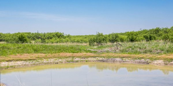 Listing image 108361-0