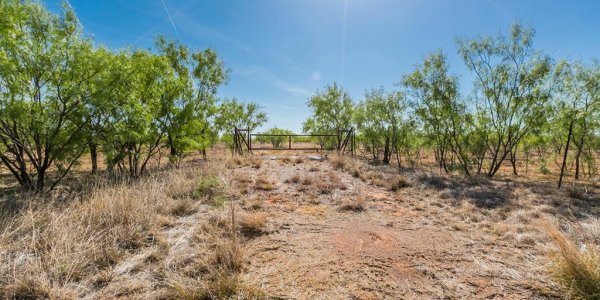 Listing image 109835-0
