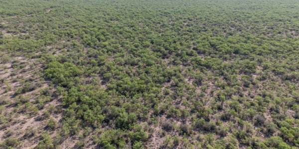 Listing image 111325-0