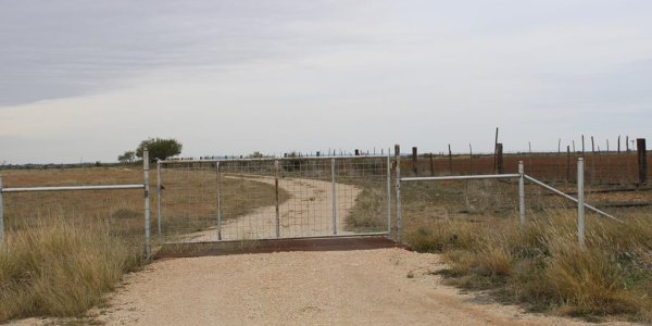 Listing image 111419-0