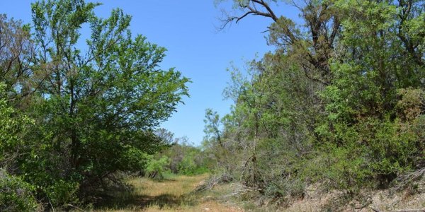 Listing image 113001-0