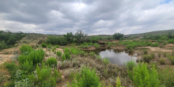 Listing image 113120-0