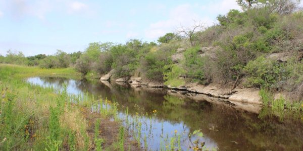 Listing image 113234-0