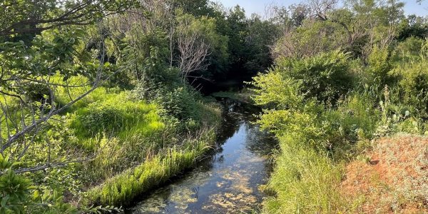 Listing image 113857-0