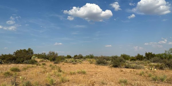 Listing image 115292-0