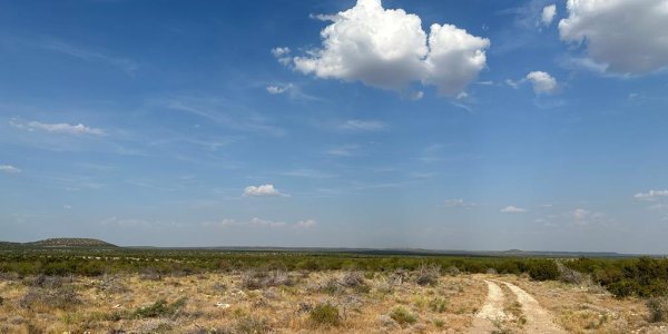 Listing image 115293-0