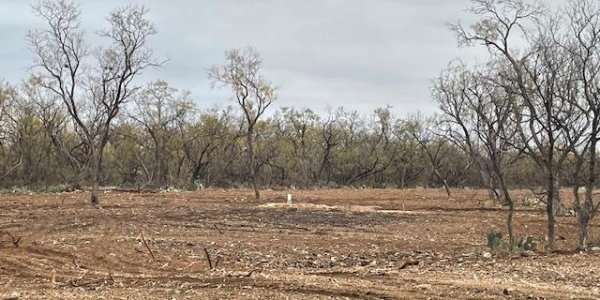 Listing image 119523-0