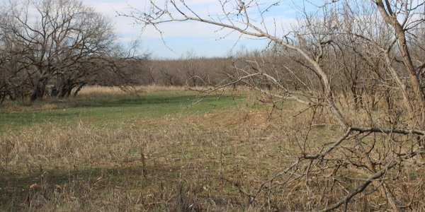 Listing image 120077-0
