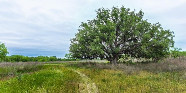 Listing image 120822-0
