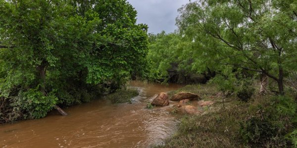 Listing image 120986-0