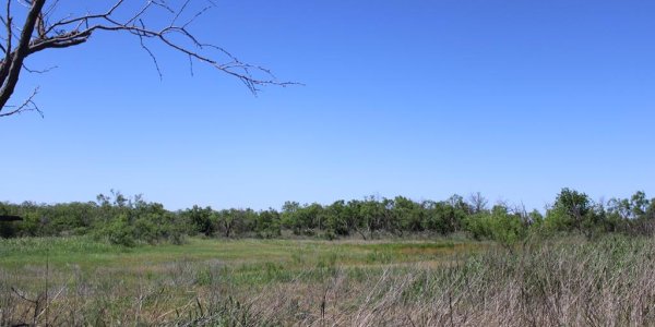 Listing image 121140-0