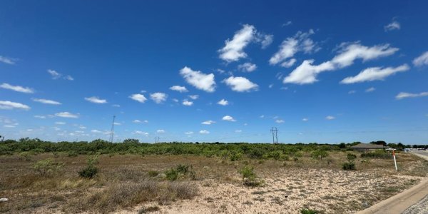 Listing image 124556-0