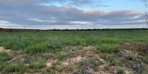 Listing image 124700-0