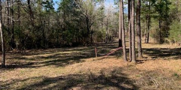 Listing image 126219-0