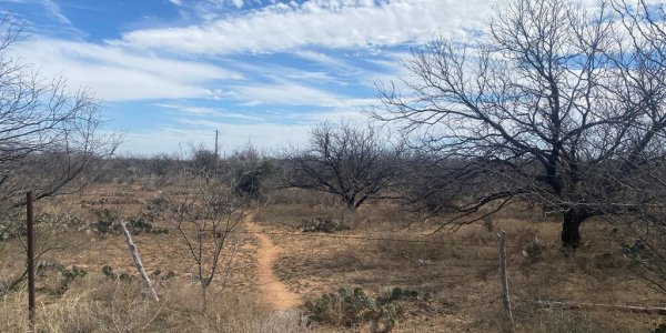 Listing image 126446-0