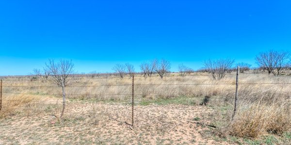 Listing image 126748-0